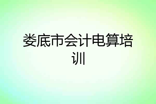 娄底市会计电算培训