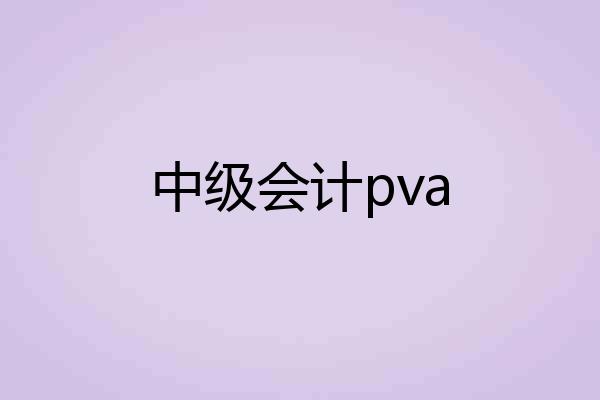 中级会计pva