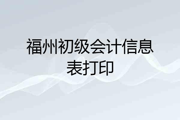 福州初级会计信息表打印