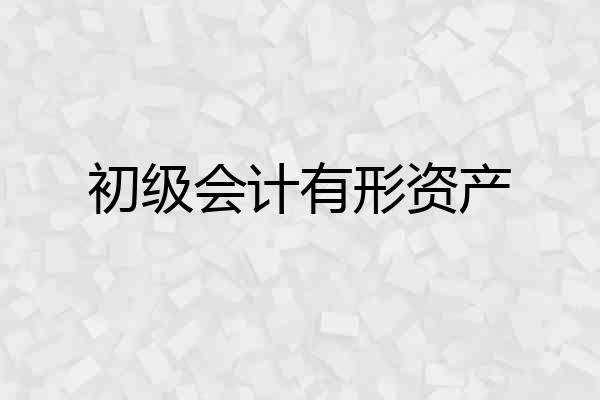 初级会计有形资产