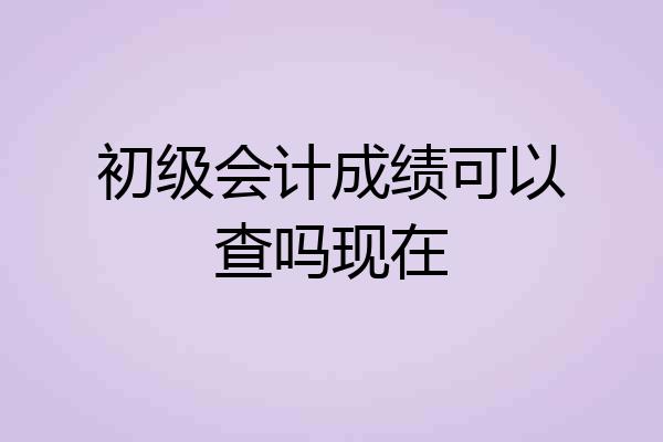 初级会计成绩可以查吗现在