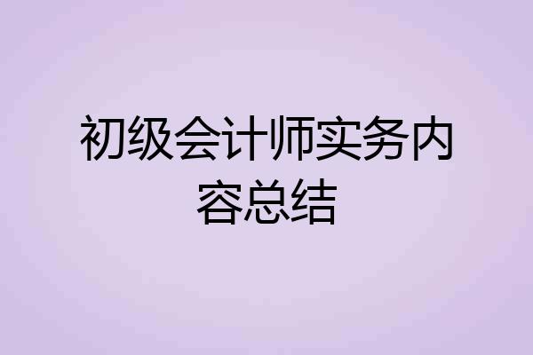 初级会计师实务内容总结