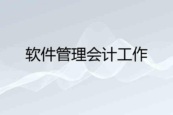 软件管理会计工作