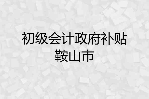 初级会计政府补贴鞍山市