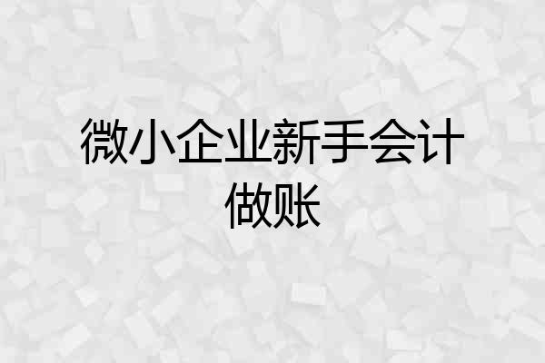 微小企业新手会计做账