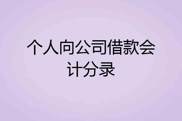个人向公司借款会计分录