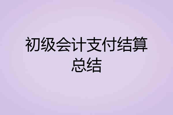 初级会计支付结算总结