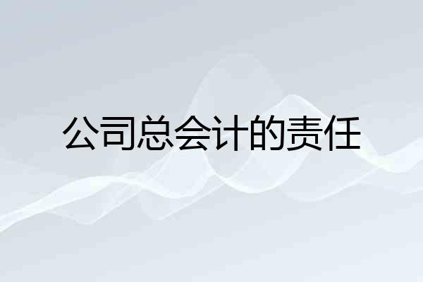 公司总会计的责任