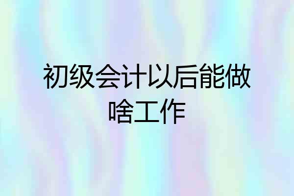 初级会计以后能做啥工作