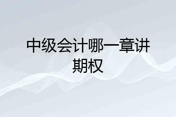 中级会计哪一章讲期权
