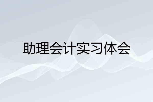 助理会计实习体会