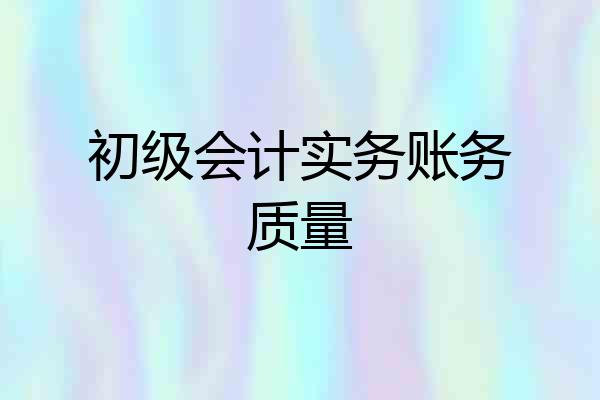 初级会计实务账务质量