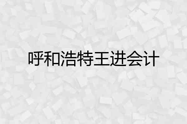 呼和浩特王进会计