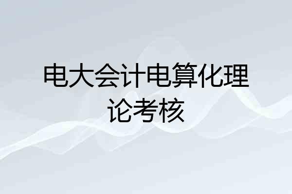 电大会计电算化理论考核