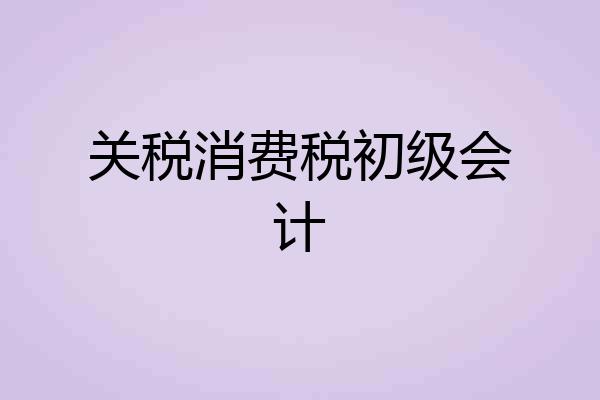 关税消费税初级会计