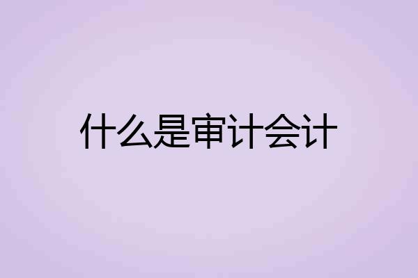 什么是审计会计