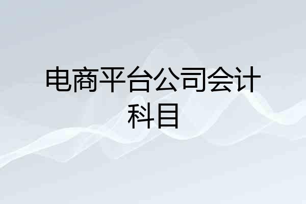 电商平台公司会计科目