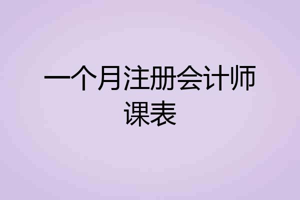 一个月注册会计师课表