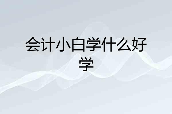 会计小白学什么好学