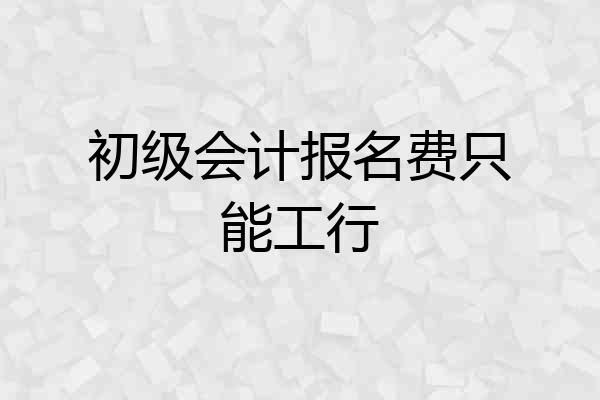 初级会计报名费只能工行