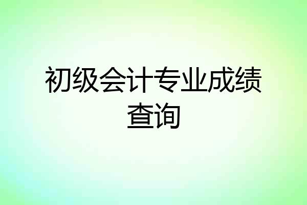 初级会计专业成绩查询