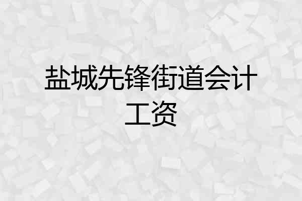 盐城先锋街道会计工资
