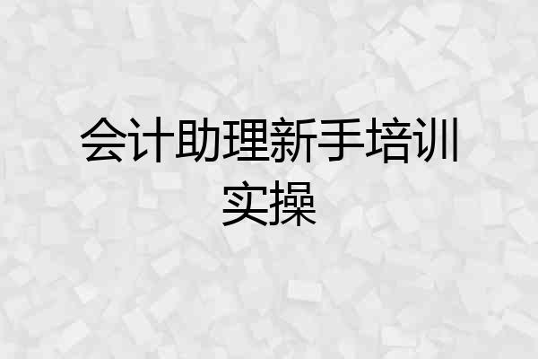 会计助理新手培训实操