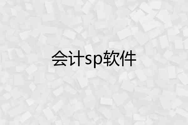 会计sp软件