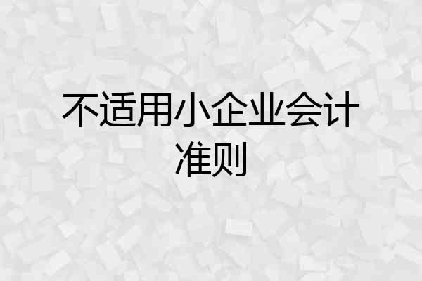 不适用小企业会计准则