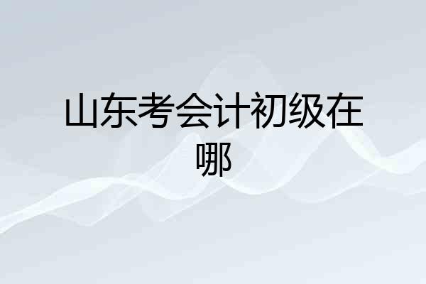 山东考会计初级在哪
