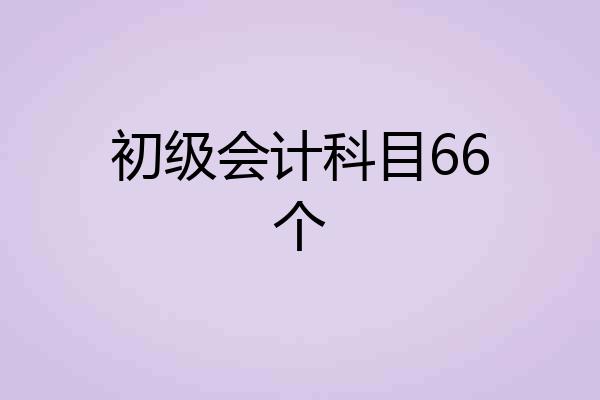 初级会计科目66个