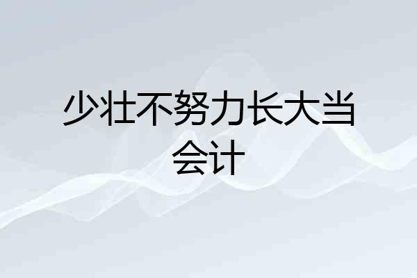 少壮不努力长大当会计