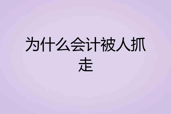 为什么会计被人抓走