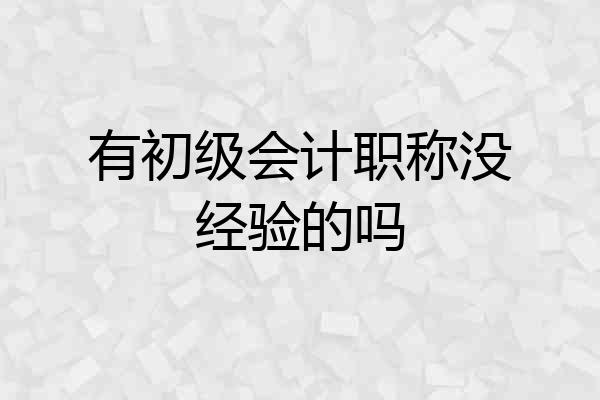 有初级会计职称没经验的吗