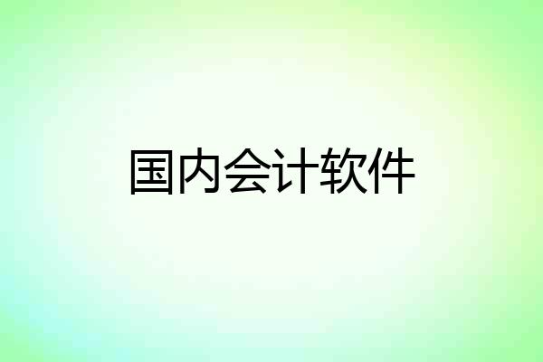 国内会计软件
