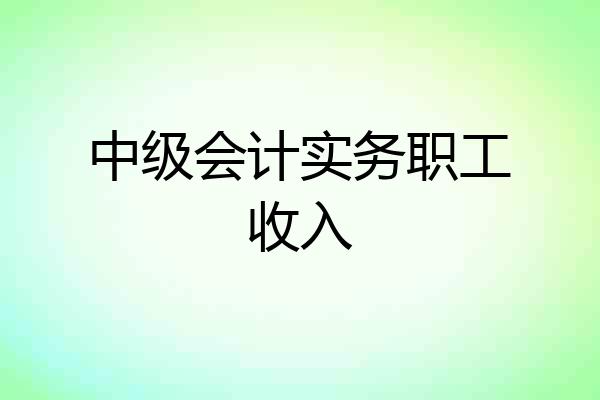 中级会计实务职工收入