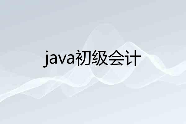 java初级会计