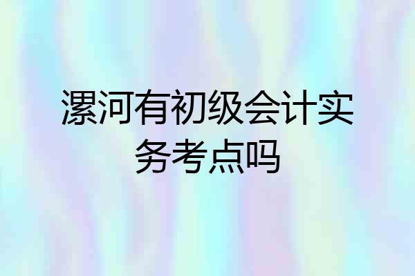 漯河有初级会计实务考点吗