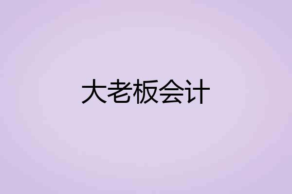 大老板会计