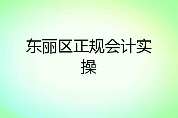 东丽区正规会计实操