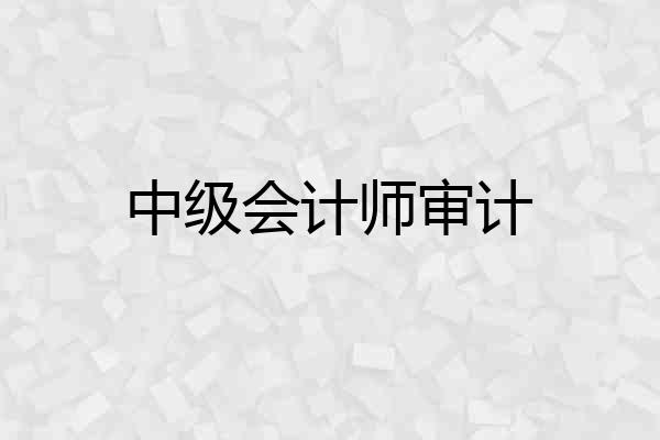 中级会计师审计