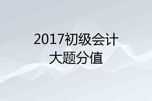 2017初级会计大题分值
