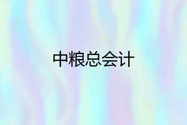 中粮总会计
