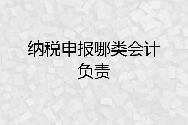 纳税申报哪类会计负责