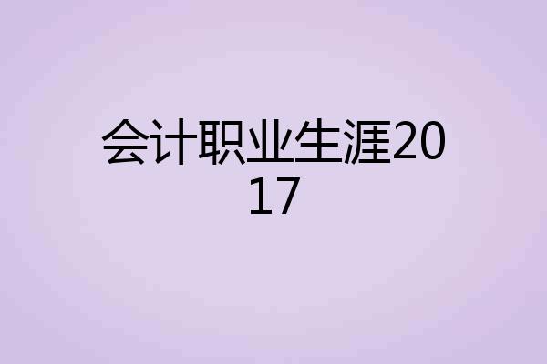 会计职业生涯2017