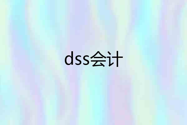 dss会计