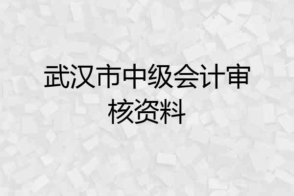 武汉市中级会计审核资料
