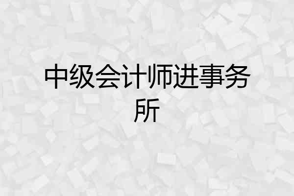中级会计师进事务所