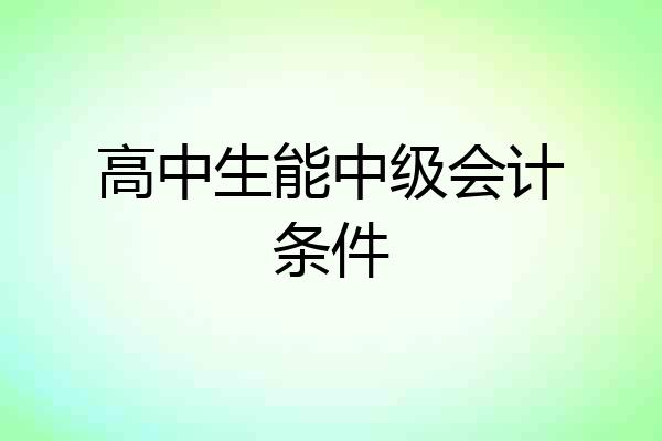 高中生能中级会计条件
