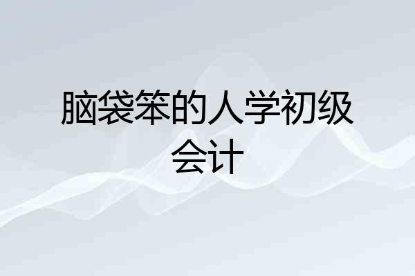 脑袋笨的人学初级会计